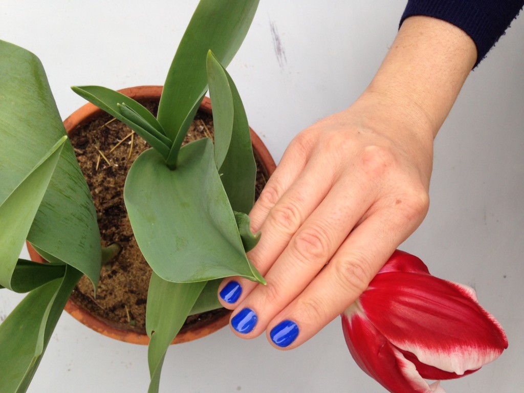 tulipano manicure