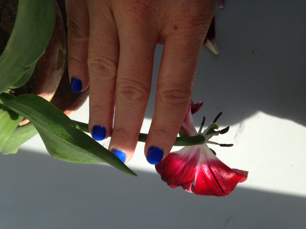 tulipano manicure5