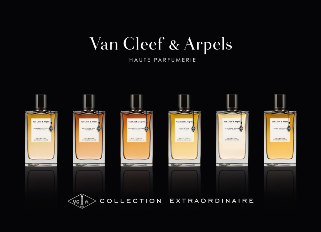 VCA_CollectExtra_6 Bottles