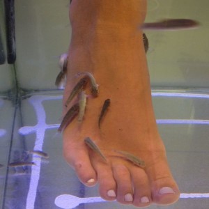 Chania, Creta, Foot Therapy Acqua Fish Spa