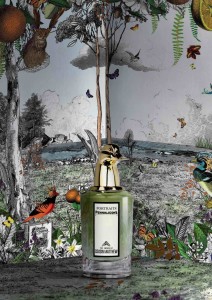 New-fragances_Final.indd