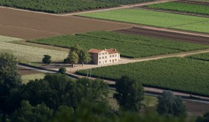 cha_1185_retpaysage